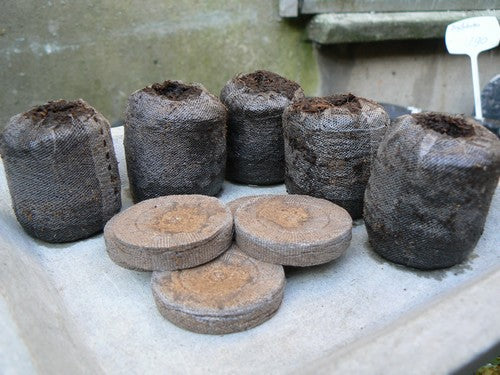 Coir tablets (50mm)