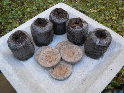 Coir tablets (50mm)