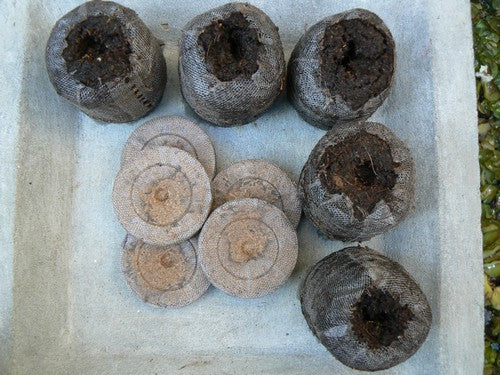 Coir tablets (50mm)