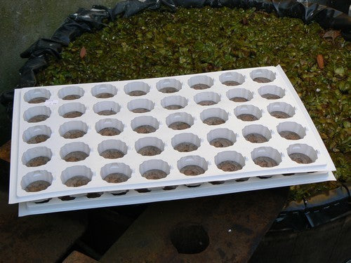 (de Echte) Jiffy® Potjes Tray voor 40 Potjes