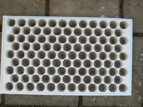 (de Echte) Jiffy® Potjes Tray voor 104 Potjes