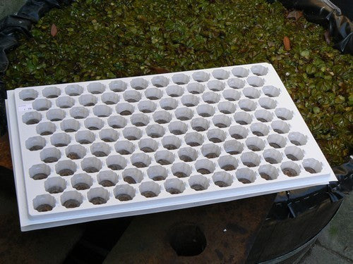 (de Echte) Jiffy® Potjes Tray voor 104 Potjes