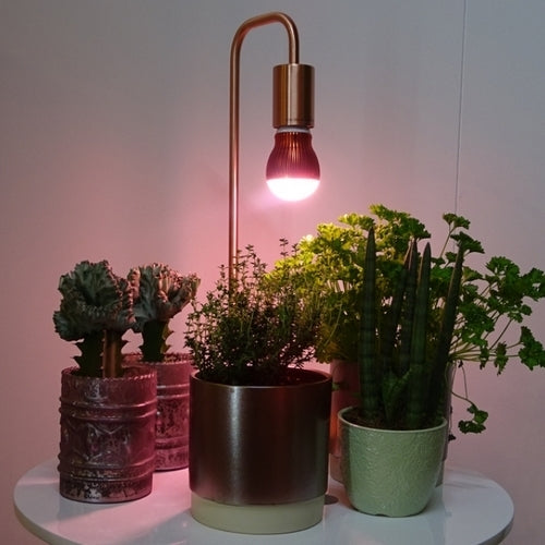 Plant Grow Light Floodlight 7W (120°)