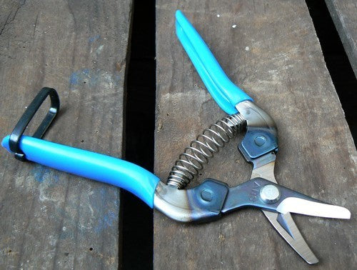 Harvesting shears ARS-310 Curved model