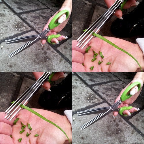 Herb Scissors 3 Blades