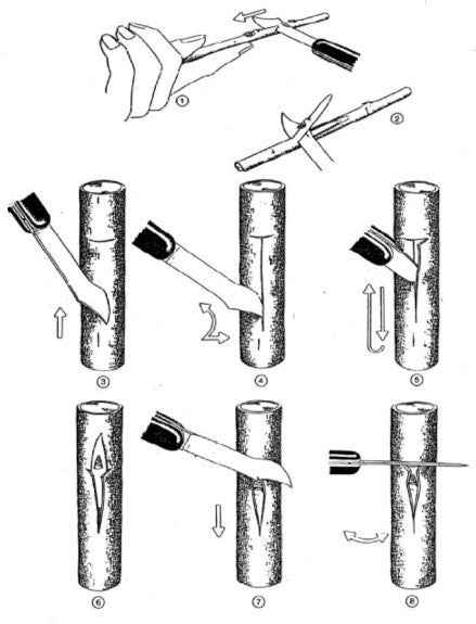 Messen Oculeermes