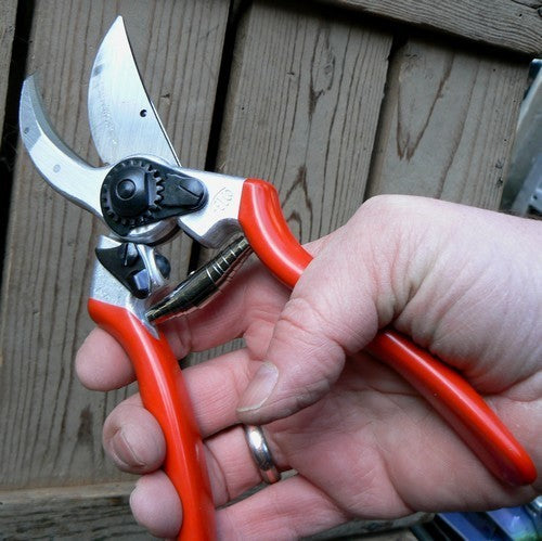Snoeischaar Felco 2