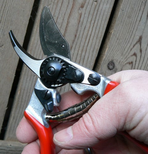 Felco 6 Pruning Shears