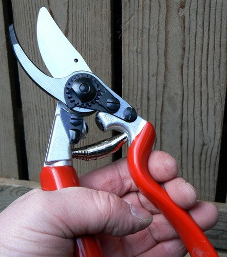 Snoeischaar Felco 7