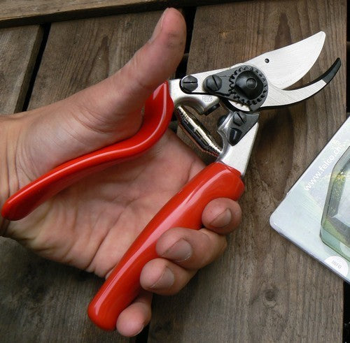 Pruning shears Felco 10