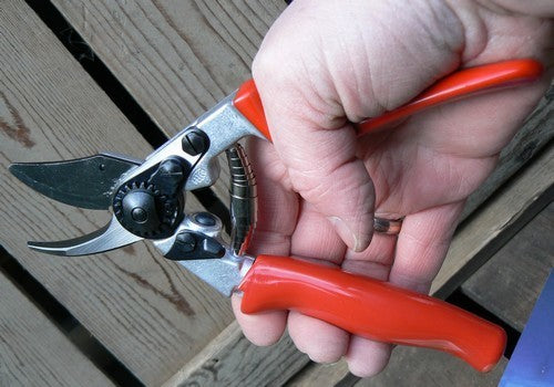 Pruning Shears Felco 12