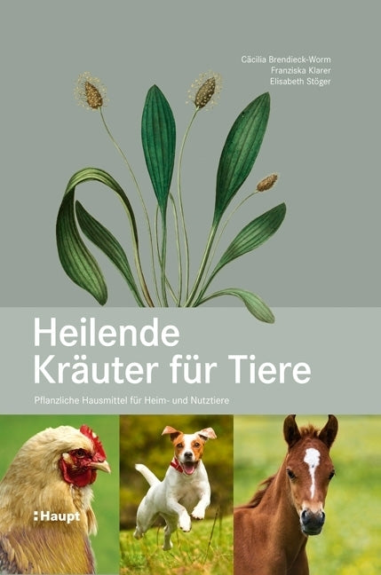 Heilende Kräuter für Tiere
