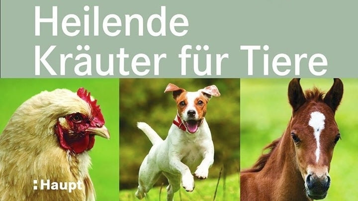 Heilende Kräuter für Tiere