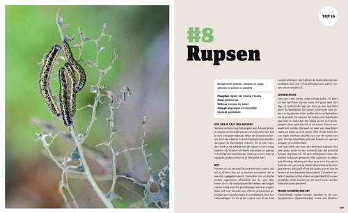 Plaagdierenboek (van vertrappen naar Vertroetelen)