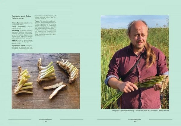 Bizarre Edible Plants, unknown delicacies