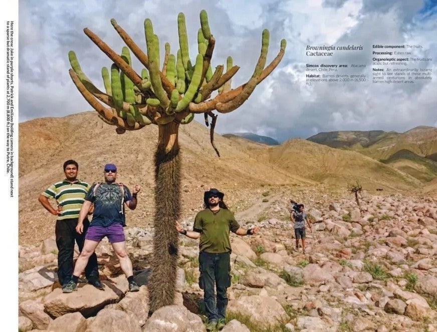 Bizarre Edible Plants, unknown delicacies
