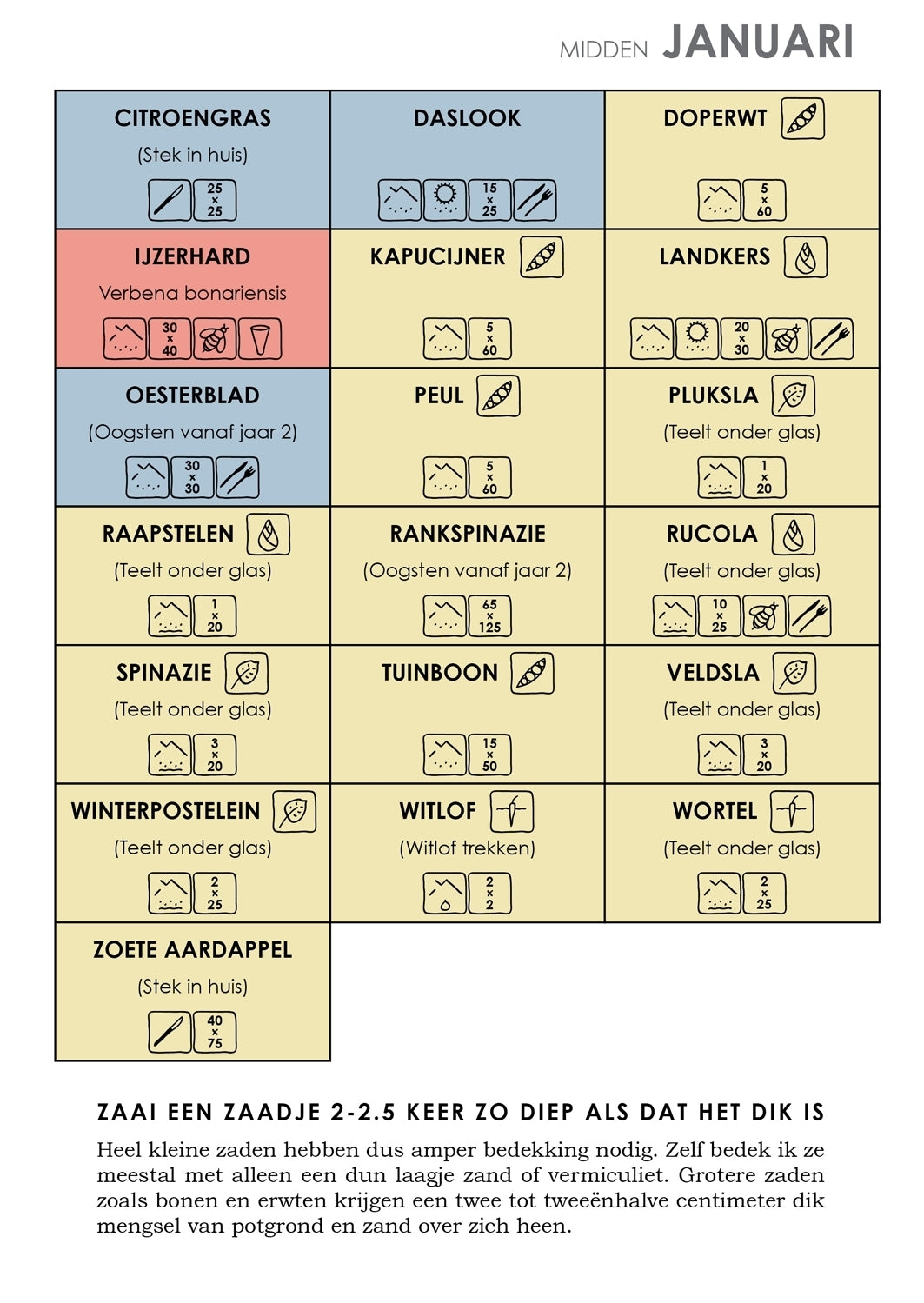 Sowing Calendar for the Vegetable Garden
