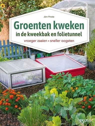 Groenten kweken in de kweekbak en FOlietunnel