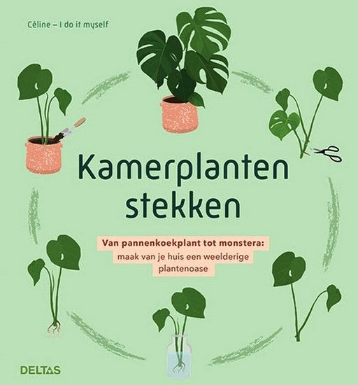 Kamerplanten Stekken