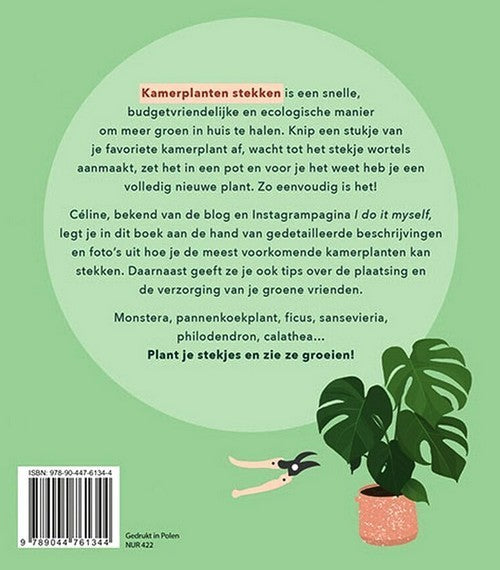 Kamerplanten Stekken