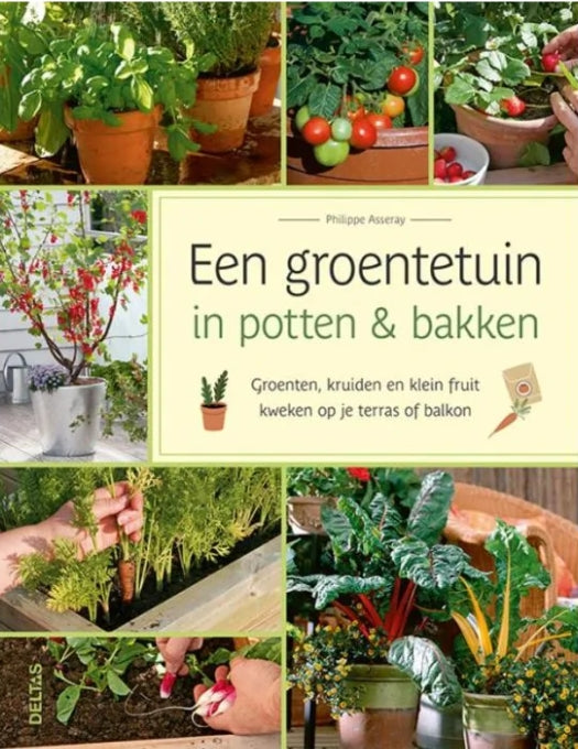 Een Groentetuin in potten & Bakken Boek