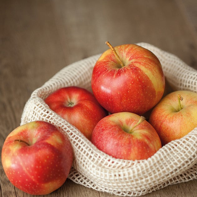 Appel 'Gala'