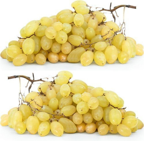 Seedless White Grape 'Centennial'