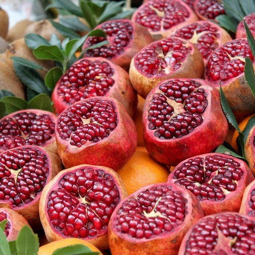 Granaatappel 'Dente di Cavello'