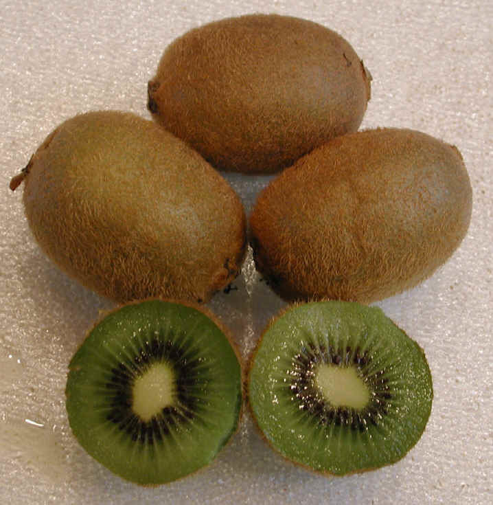 Groene Kiwi (Vrouwelijk) 'Hayward'