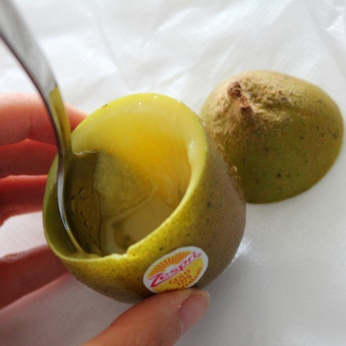 Gele Kiwi (Vrouwelijk) 'Goldy'