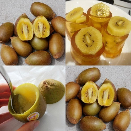 Gele Kiwi (Vrouwelijk) 'Goldy'