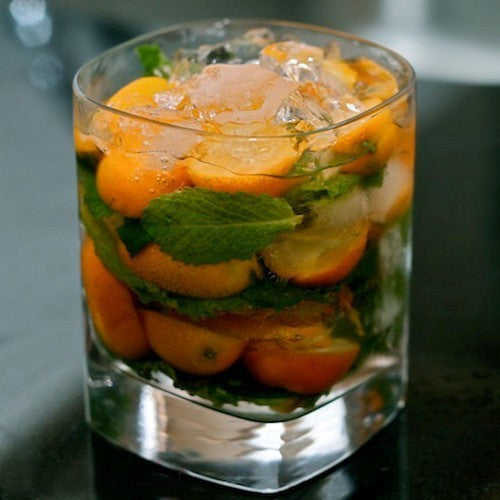 Kumquat 'Nagami' / 'Fukushi'