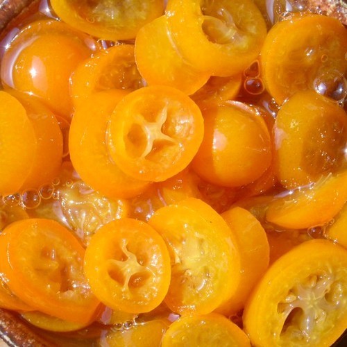 Kumquat 'Nagami' / 'Fukushi'