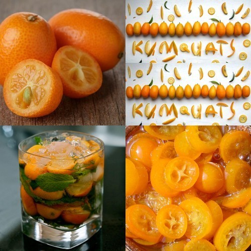 Kumquat 'Nagami' / 'Fukushi'