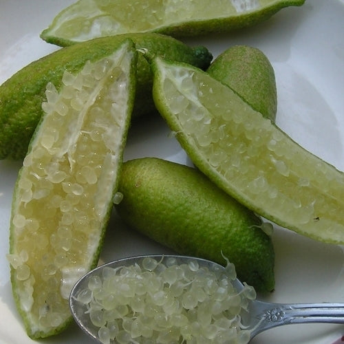 Limoenkaviaar ‘Finger Lime’