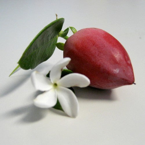 Natalpruim