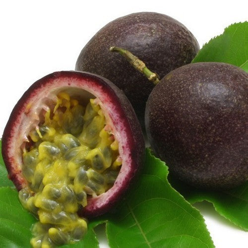 Passievrucht 'Purple Giant'
