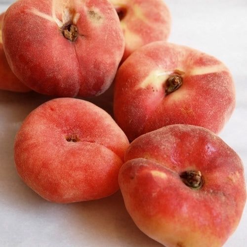 Peach, Wild 'Saturn' / 'Louis'