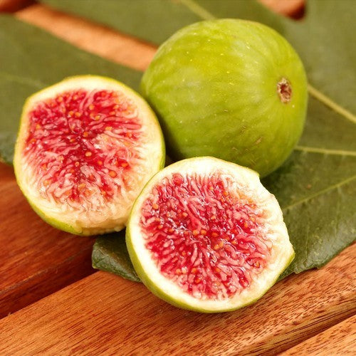 Fig 'Desert King'