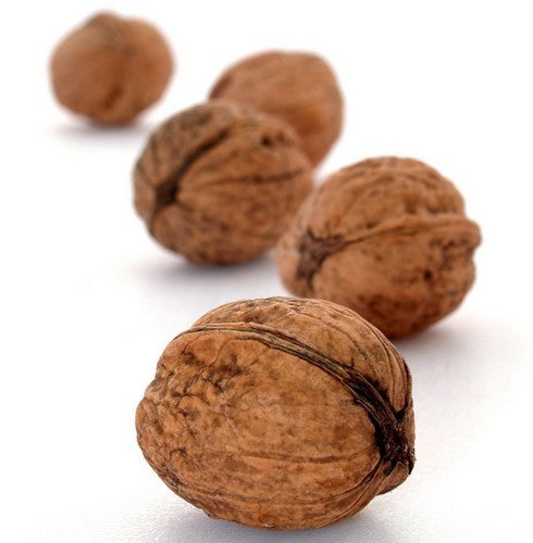 Walnut
