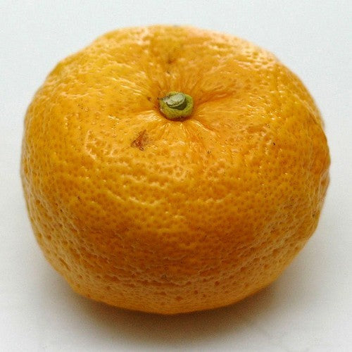 Yuzu