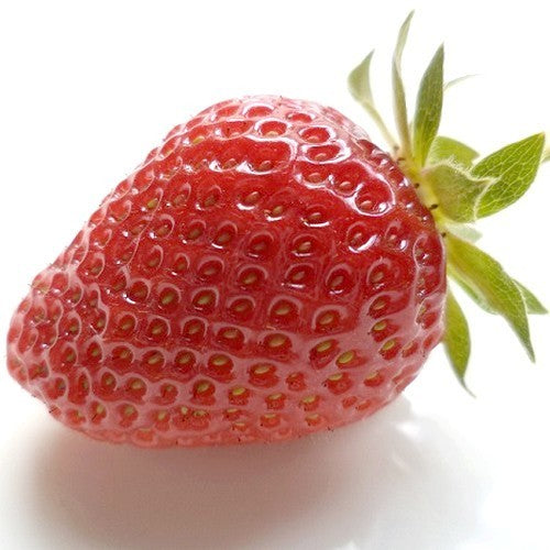 Tweemaal Oogst Aardbei 'Armando'
