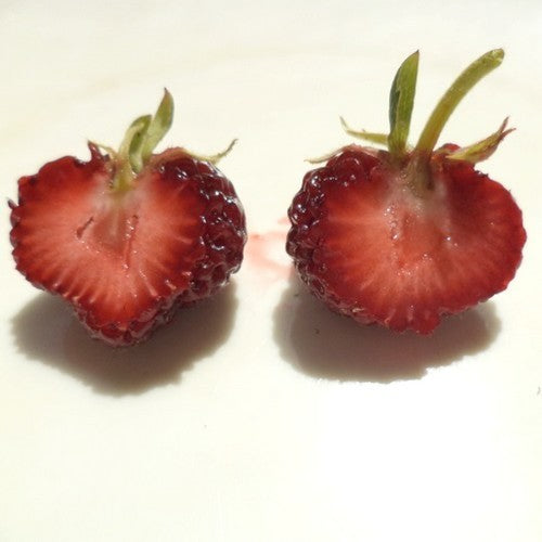 Banaan-Aardbei 'Banana'