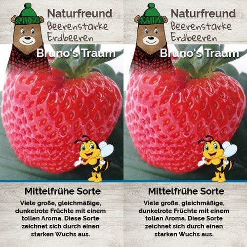 Duitse Aardbeiendroom 'Bruno'S traum''