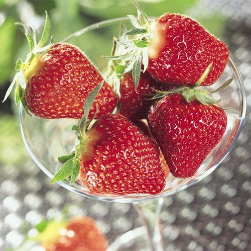 Vroege aardbei 'Darselect'