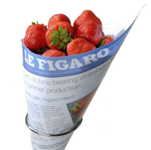 Middentijdse Aardbei 'Figaro'