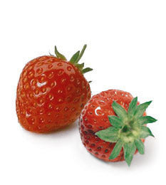 Perpetual Strawberry 'Ostara'