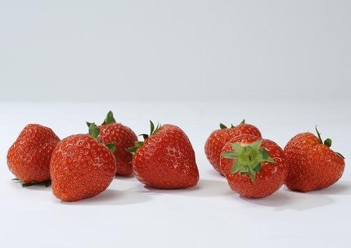 Middentijdse Aardbei 'Sonata'