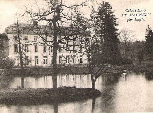 Belgische Frambozenaardbei 'Souvenir de Charles Machiroux'