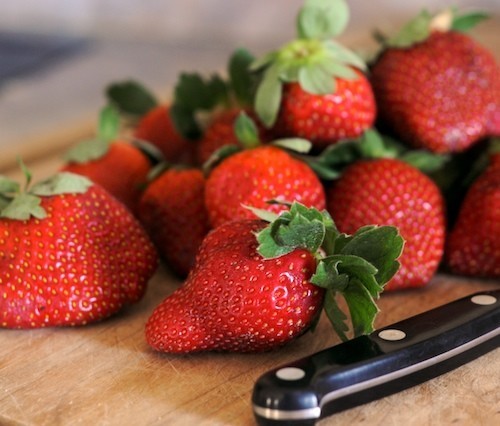 Ever-bearing Strawberry 'Talisman'